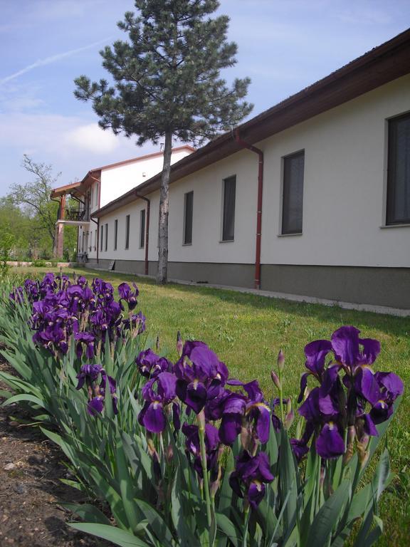 Anna Panzio Hotel Dunavarsany Exterior photo