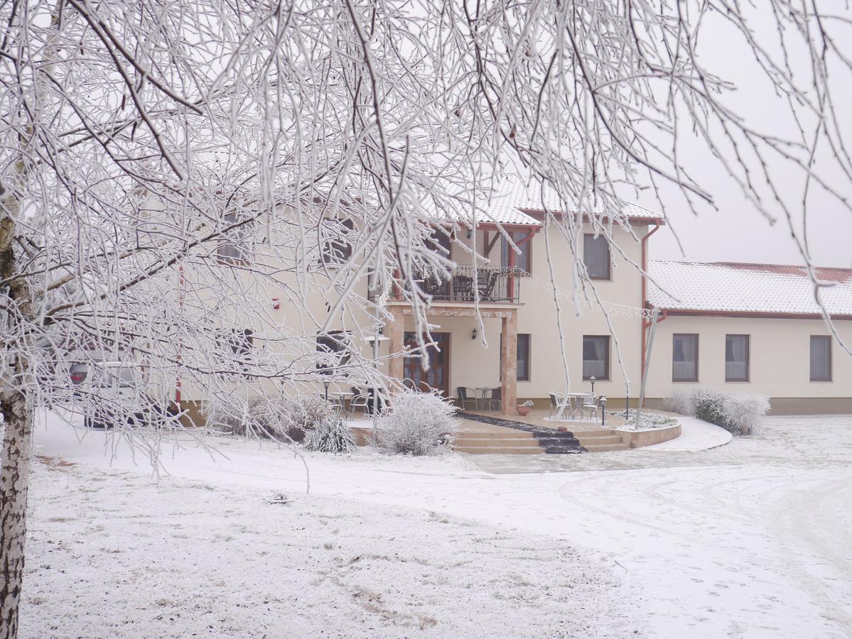 Anna Panzio Hotel Dunavarsany Exterior photo
